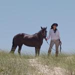 Rosa Salete Coruja Feio