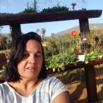 Elaine Cristina Borges Baptista Alves Elaine Cristina Borges Baptista Alves