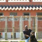 Escola De Adestramento Coração Valente Escola De Adestramento Coração Valente