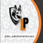 Leo Adestramento Leo Adestramento