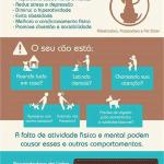 Amanda Garcia Passeadora De Cães Amanda Garcia Passeadora De Cães