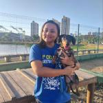 Treinamento Canino Treinamento Canino