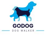 Go Dog Passeador Go Dog Passeador