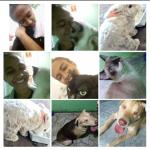 Rebeca Moraes Rebeca Moraes
