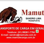 Mamute Transportes E Serviços Gerais Mamute Transportes E Serviços Gerais