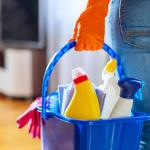 Alessandra Batista Dos Santos Silva