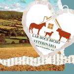 Lar Doce Bicho  Veterinária Domiciliar