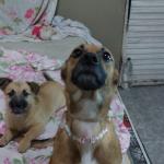 Nathalia Caroline França