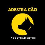 Adestra Cão Adestramentos Adestra Cão Adestramentos