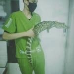 Vinicius Andrade Vinicius Andrade