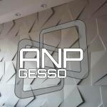 Apn Gesso