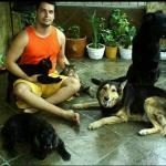 Rio Adestramento De Cães