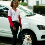 Aventuras Em 4patas Aventuras Em 4patas
