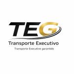 Teg Transporte Executivo