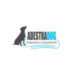 Adestradog  Treinamento E Comportamento