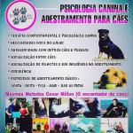 Joana Pinho Joana Pinho