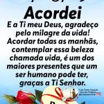 Marlene Alves Marlene Alves