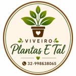 Plantas E Tal