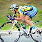 Erica Castex Ferreira Tsunokawa Chaves Erica Castex Ferreira Tsunokawa Chaves