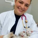 Médica Veterinária Em Domicílio São Paulo Sp