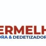 Pé Vermelho Desentupidora E Dedetizadora Pé Vermelho Desentupidora E Dedetizadora