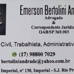 Dr Emerson Bertolini Advogado