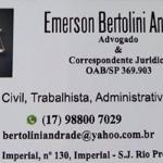Dr Emerson Bertolini Advogado Dr Emerson Bertolini Advogado