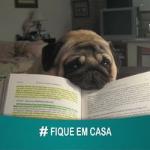 Alex Garcia Alex Garcia