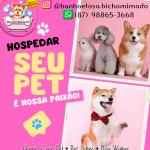Bicho Mimado Hospedagem E Banho Em Domicílio Bicho Mimado Hospedagem E Banho Em Domicílio
