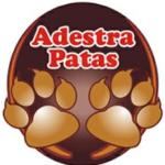 Adestra Patas Passeios E Adestramento De Cães