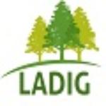 Ladig Reformas E Construções