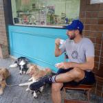Keep Calm Dog Traning Keep Calm Dog Traning