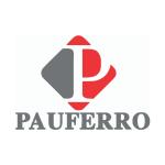 Pauferro Construções Reformas Reparos  Desentupidora