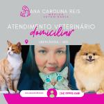 M.v Ana Carolina Reis M.v Ana Carolina Reis