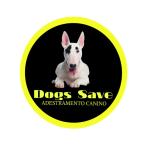 Dogs Save Adestramento