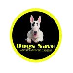 Dogs Save Adestramento Dogs Save Adestramento