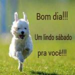 Alessandro Jesus Pinto Alessandro Jesus Pinto