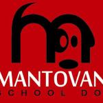 Mantovani School Dog