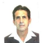 Nelson Pereira Nelson Pereira