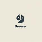 Brisa Limpeza Brisa Limpeza