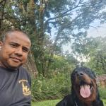 Adestra Walker Dog   Adestrador E Passeador De Cães