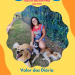 Hospedagem Hospedagem