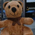 Eguitainy Gomes D A Silva