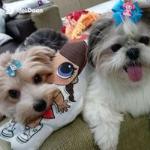 Elisabete Costa Elisabete Costa