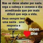 Janaine Pereira Cardoso Janaine Pereira Cardoso