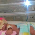 Dulcinea Gomes Rocha Dulcinea Gomes Rocha
