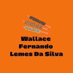 Wallace Fernando Lemes Da Silva Lemes Da Silva