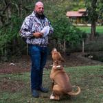 Adestramento De Cães