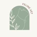 Felinevet Atendimento Veterinário Especializado Felinevet Atendimento Veterinário Especializado