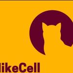 Mikecell Mikecell